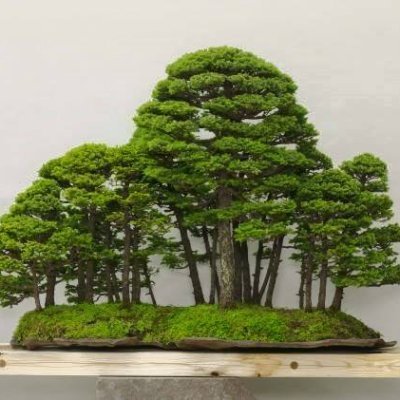 Prashan24065207's profile picture. Loyalty my 'First' #Mother nature my God ☆☆☆