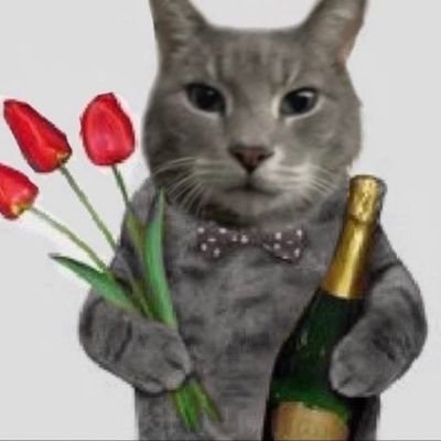 ceyfem's profile picture. not a safe place for many