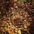 fra (@fracutas) Twitter profile photo