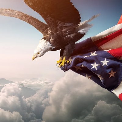 pella23873's profile picture. All views and opinions are solely mine alone.