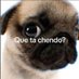 desen Sylvia (@desensyl1) Twitter profile photo desen Sylvia (@desensyl1) Twitter profile photo