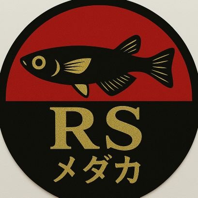 🐟 RSメダカ 🐟
メダカ道、始めました!🔰 育成・繁殖・ビオトープ、試行錯誤しながら楽しんでます。メダカ好きさんとつながりたい!✨