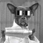 mynn_mixes's profile picture. 🛌 Mika’s Crypt Keepers🪶Kumi's Guard Birbs🧪Augy's Test Subjects
