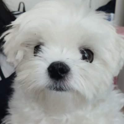 이브さんのプロフィール画像