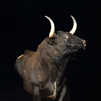 Entre el Tiétar y el Alberche. Aficionado al TORO-TORO. Un discípulo del torismo del Valle del Terror.