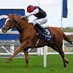 Best Racehorses (@bestracehorses) Twitter profile photo Best Racehorses (@bestracehorses) Twitter profile photo
