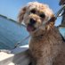 Maverick’s Mom… Jenn (@jenneidam) Twitter profile photo Maverick’s Mom… Jenn (@jenneidam) Twitter profile photo