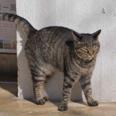 133さんのプロフィール画像