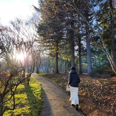 kagami_mochi_No's profile picture. 