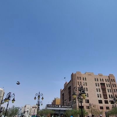 DTekisha56580's profile picture. 