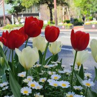 nugra (@1nugra) 's Twitter Profile Photo