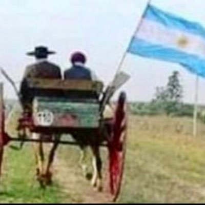 El peronismo es una pertenencia que da impunidad para ser ladrón y corrupto. No es un partido político, es una asociación ilícita de traidores a la Patria.