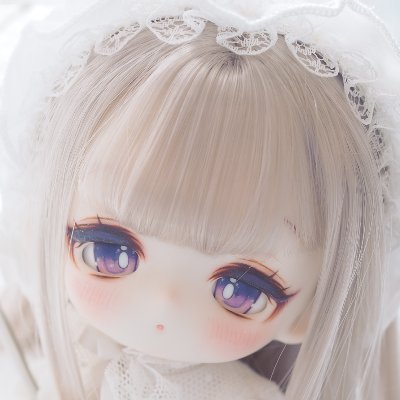 めざもさんのプロフィール画像