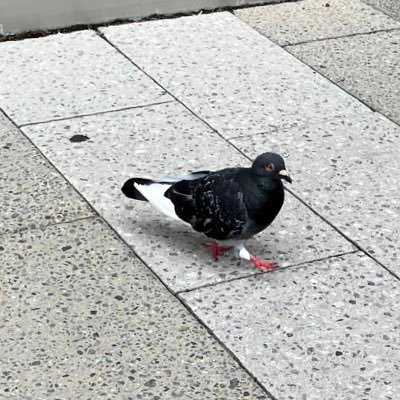 mikann_oisi_'s profile picture. 思ったこと言ってるだけ