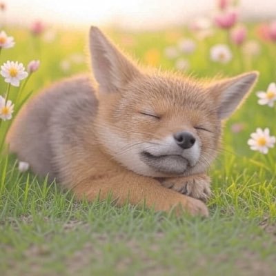 福岡のちょっとだけ都会なあたり(仮)を軽自動車(進化:電チャリ▶︎原付▶︎軽自動車)で(営業のため)駆け抜ける野生動物🦌💨お仕事と推し事を両立したい日々......年中、睡魔が暴走中