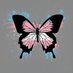 Trap Blasters (@trapblasters) Twitter profile photo Trap Blasters (@trapblasters) Twitter profile photo
