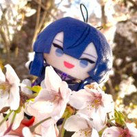もず 🦀 (@m_nununu) 's Twitter Profile Photo