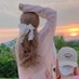 Alma (@amparoande63479) Twitter profile photo Alma (@amparoande63479) Twitter profile photo
