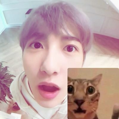 Renjun el Gordo virus |Grisel|さんのプロフィール画像