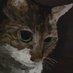 yarrrrrr (@damnedafterall) Twitter profile photo yarrrrrr (@damnedafterall) Twitter profile photo