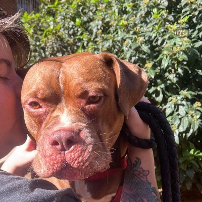 fitnessflekky's profile picture. 