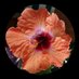 Nancy_Cooper1951 (@ncooper1951) Twitter profile photo Nancy_Cooper1951 (@ncooper1951) Twitter profile photo