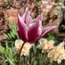 Helen Lonsdale (@helenl97678) Twitter profile photo Helen Lonsdale (@helenl97678) Twitter profile photo