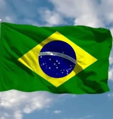 Perfil Bolsonarista,Comunistas não são bem vindos!