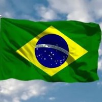 Meu Presidente é Jair Mésias Bolsonaro 🇧🇷🇧🇷 (@ninegameover) 's Twitter Profile