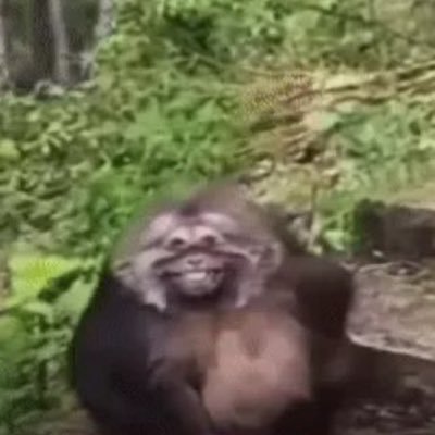 BIIIONIIC's profile picture. 