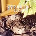Hyperia duck (@hyperiaduck) Twitter profile photo Hyperia duck (@hyperiaduck) Twitter profile photo