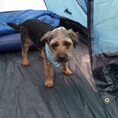 janexwaldorf's profile picture. 