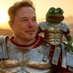 ELON kekius 𝕏 ⭐️ (@katarzy07126284) Twitter profile photo ELON kekius 𝕏 ⭐️ (@katarzy07126284) Twitter profile photo