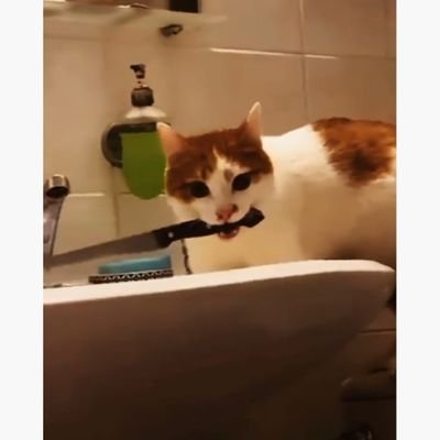 wdunmn's profile picture. Am | here, mostly quiet | saw Emily wearing Lidl outfit live | idnwtbha