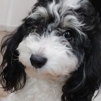 Vy98さんのプロフィール画像