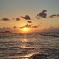 TheSloth1218 (@thesloth1218) 's Twitter Profile