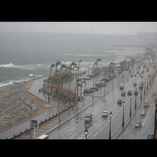 A_farghali's profile picture. 