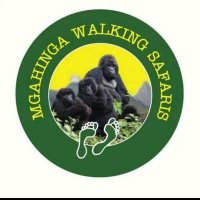 Mgahinga Walking Safari's (@msstumwizere) 's Twitter Profile