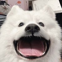 𓏯𓏯 ชิเต้อแพน ˚◞♡ (@greangirlz) 's Twitter Profile