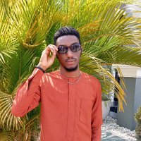 Ayodeji Ola (@dejithedev) 's Twitter Profile