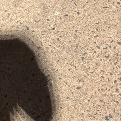 AnimsFirey's profile picture. Only cool things take place here