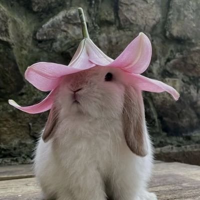 Eternal4sky's profile picture. OT7 Army ☁️ (Sky)

Just a tiny cloud (with her bonsai) wanting to explore the sky 🌈☁️