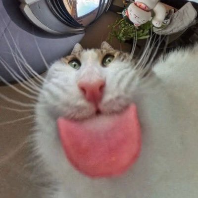 ind1ansumm3r's profile picture. 21 tolking to my friends on de computer