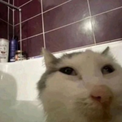 fuck it tho bro its your life