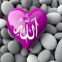 Jaffar The trust of Tawheed is in the heart☝🏻 (@jaffar9050) 's Twitter Profile
