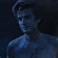 — steve harrington (@thehairingt0n_) 's Twitter Profile Photo — steve harrington (@thehairingt0n_) 's Twitter Profile Photo