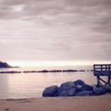 Beach. Trades. (@beqch_trqde) 's Twitter Profile