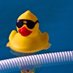 Justanother_duck (@thisduckmatters) Twitter profile photo Justanother_duck (@thisduckmatters) Twitter profile photo