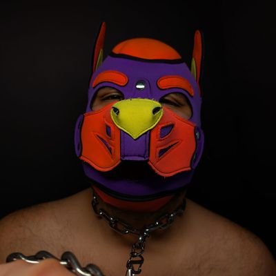PupChico's profile picture. 💜Wagging through life/Enby/🇪🇨💜