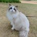 Lucy (@s__almuhairy) Twitter profile photo Lucy (@s__almuhairy) Twitter profile photo